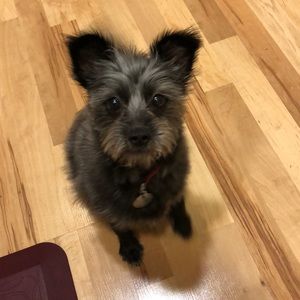 Meet your Posher, Sharlyn